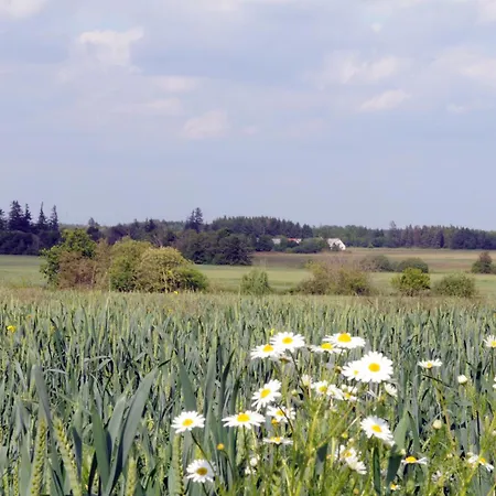 Fitting Landsbyferie Apartmán Vorbasse
