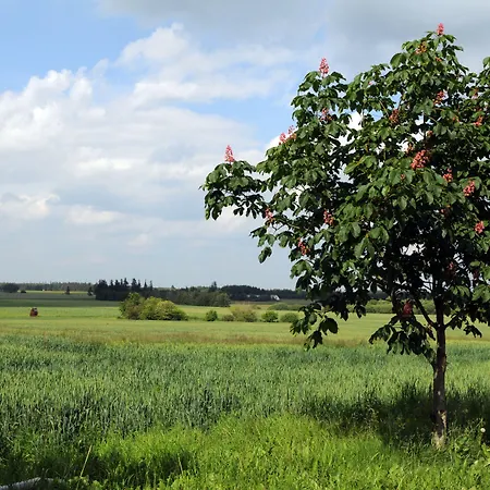 Fitting Landsbyferie Apartmán *